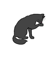 Smoketail LeafClan Charart