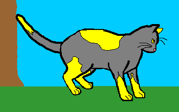 File:Lightpaw NightClan.png