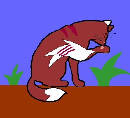 File:Fallenspire NightClan.png