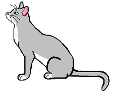 Silverfang
