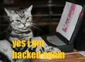 Thumbnail for version as of 04:04, December 7, 2011