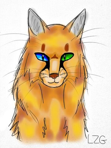File:Amberfeather.jpg