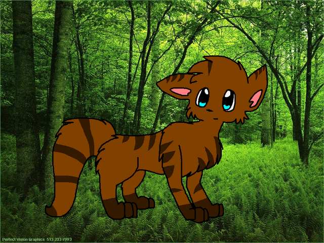 File:WoodPelt2.png