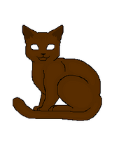 Coat Shading 1