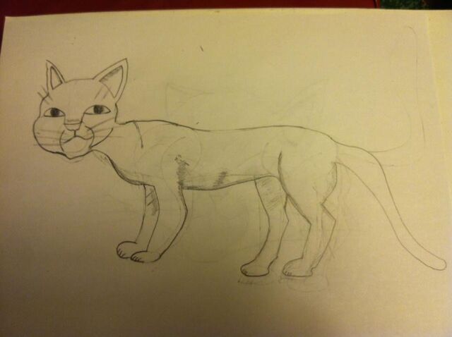 File:Cat drawing 1.jpg