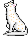 Thumbnail for version as of 07:27, August 24, 2009