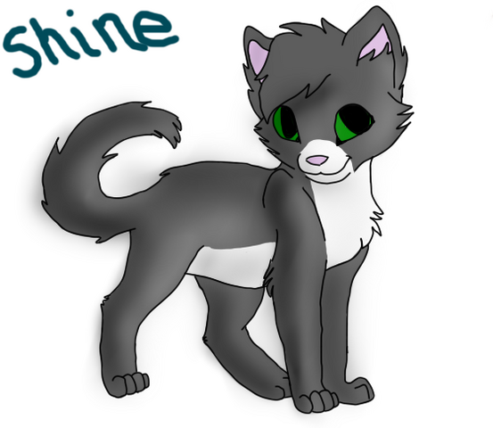 File:SHINE.png