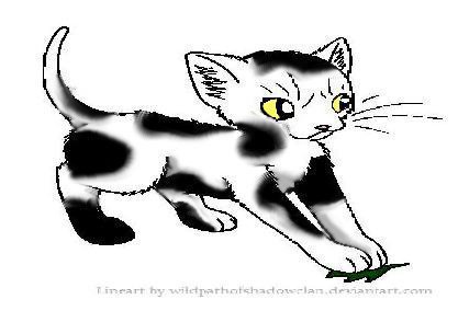 File:Swiftpaw4.jpg