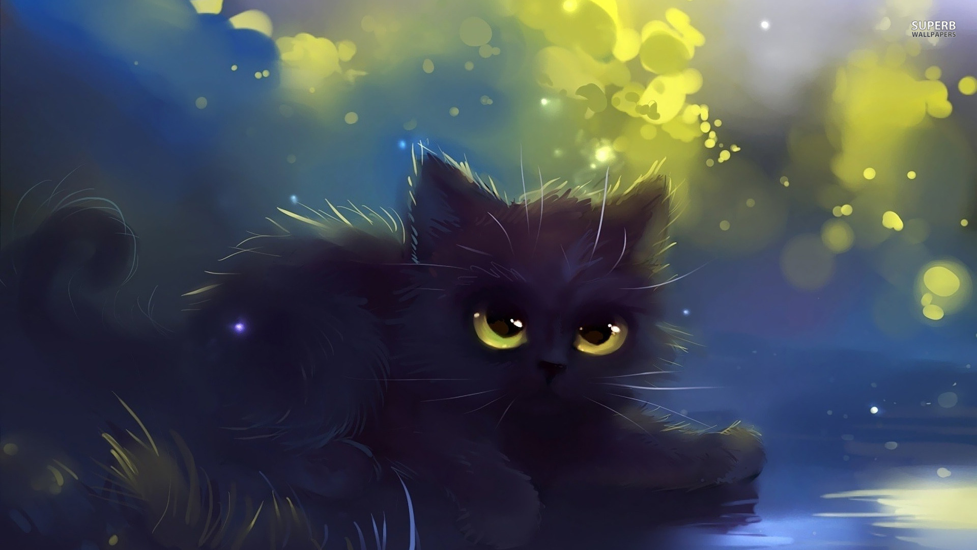 Image - Black kitten wallpaper.jpg | Warriors Fanfiction | Fandom ...