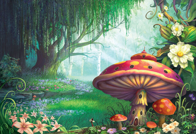 File:Fantasyland20.jpg