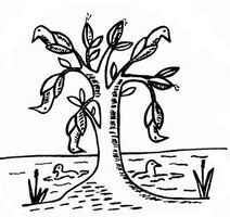 Barnacle-Goose-logo-