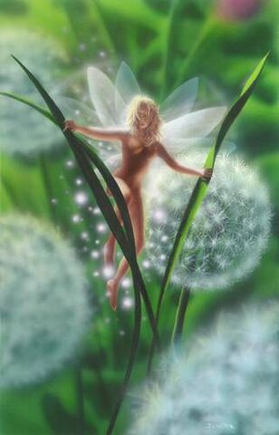 File:Fairy.jpg
