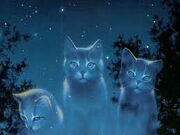 StarClan Cats
