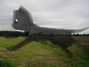 Ghostpaw