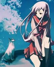 Lily (human)