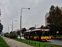 DSC00968