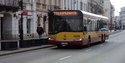 DSC08902.jpg