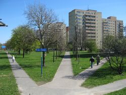 Park Marka Kotanskiego.jpg