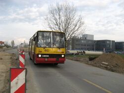 443-165.jpg