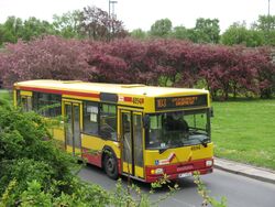 4894-103.jpg