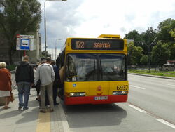 172sadyba