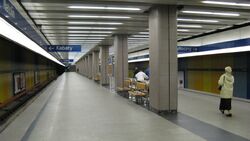 A02-Natolin.jpg