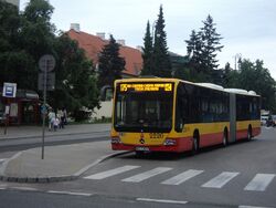 DSC09433.jpg