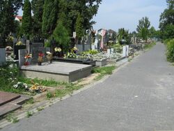 Cmentarz w Golabkach.jpg