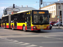 DSC05548.jpg