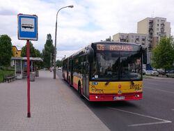 136 (Megasam).jpg