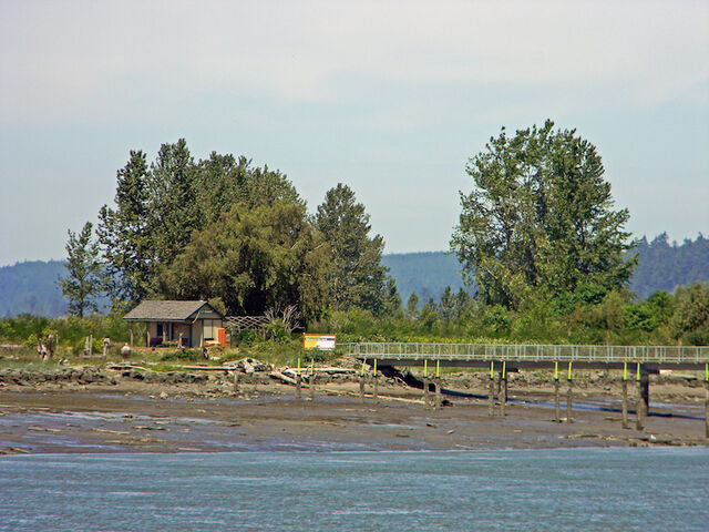 File:Jettyislandwa16lowtide.jpg