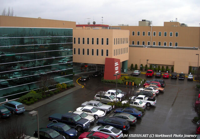 File:Ajmstudiosauburnreinalhosp.jpg