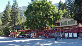 Stehekindowntown
