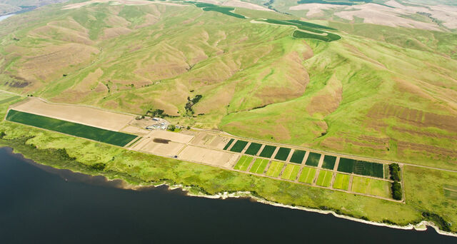 File:Purringtonwashington07.jpg
