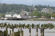 Backside Chehalis