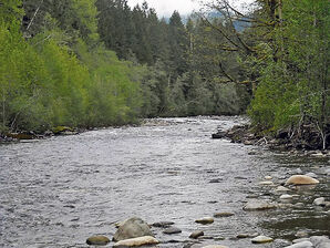 Carbonriveratfairfaxwa