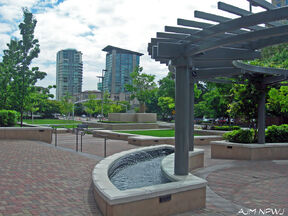 Ajmdowntownbellevue