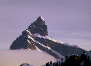 Sloanpeak2014
