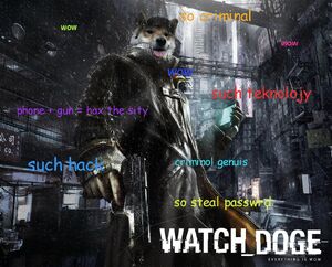Watch Doge