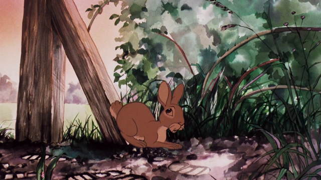 File:Vlcsnap-2014-04-28-21h39m41s207.png
