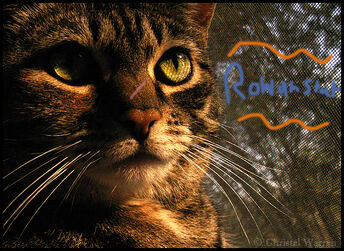 Rowanclaw