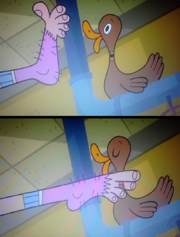 File:Toes.png