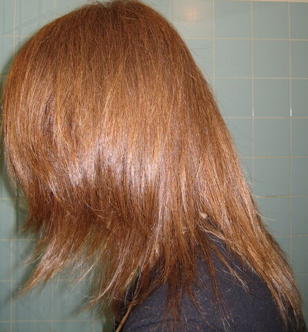 File:Auburn hair.jpg
