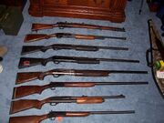 Shotguns