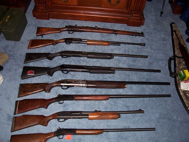 File:Shotguns.jpg