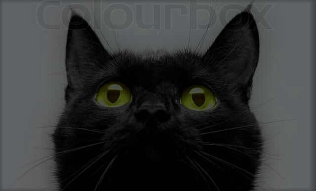 File:Ripplekit.LifeImage.jpg