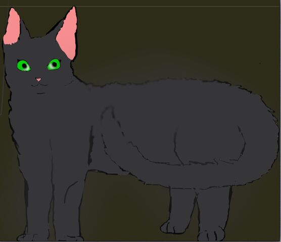 File:Wolfstar.jpg