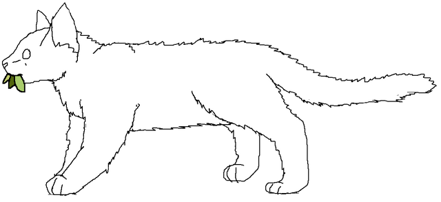 File:MCA long-haired male.png