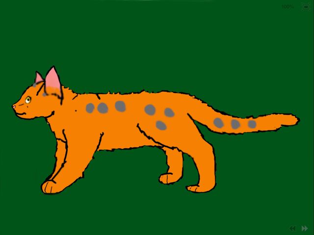 File:Runningpaw.jpg