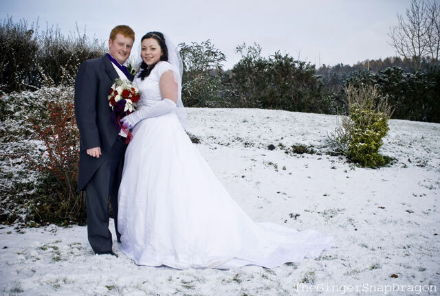 File:Narnia wedding by thegingersnapdragon-d360fzk.jpeg